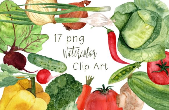 17 Watercolor Vegetables Clip Art & Illustrations