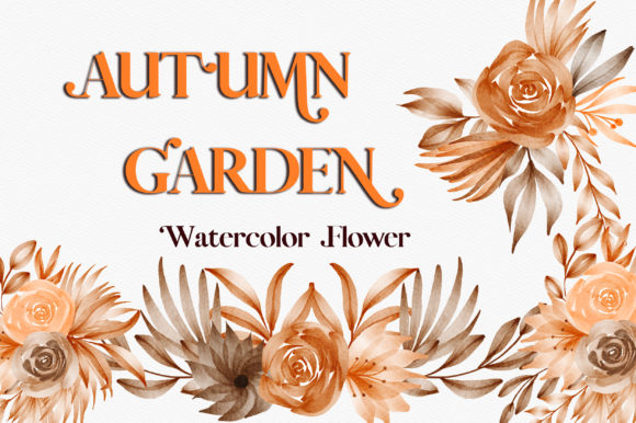 Autumn Garden Watercolor Flower Clipart and Illustrations