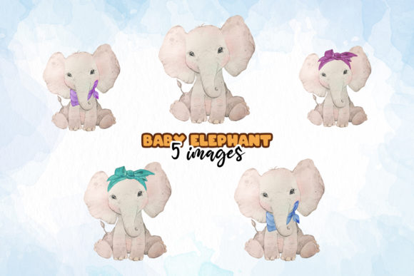 Baby Elephant Watercolor Bundle & Illustrations