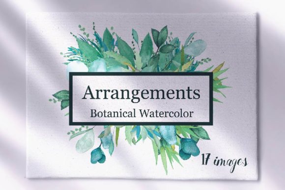 Botanical Watercolor Arrangements and Illustrations