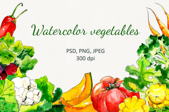 Fresh Vegetables Watercolor Set Illustrations