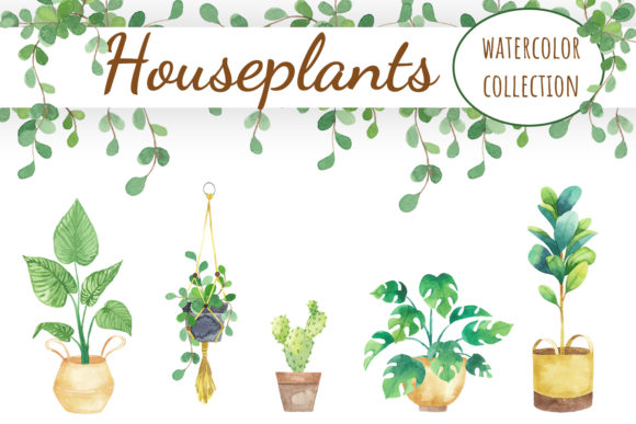 House Plants Watercolor Clipart and Illustrations