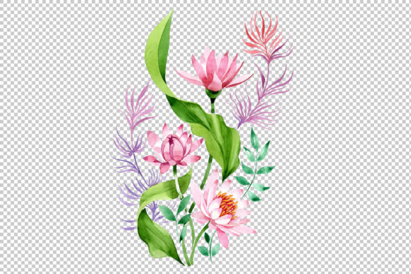 Ornament of Pink Lotus PNG Watercolor Set and Illustrations