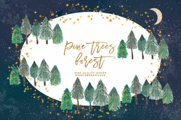 Pine Trees Watercolor Clipart, Fir Trees Illustrations