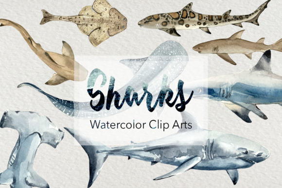 Sharks - Watercolor Clip Arts and Illustrations
