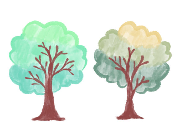 Tree Watercolor Illustrations
