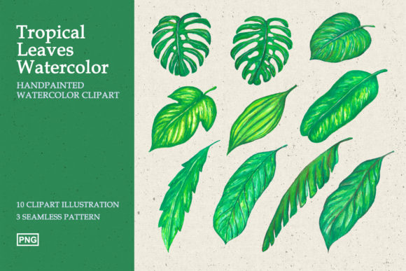 Tropical Leaves Watercolor Clipart and Illustrations