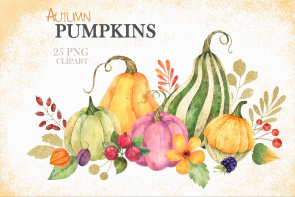 Watercolor Autumn Pumpkins Clipart and Illustrations