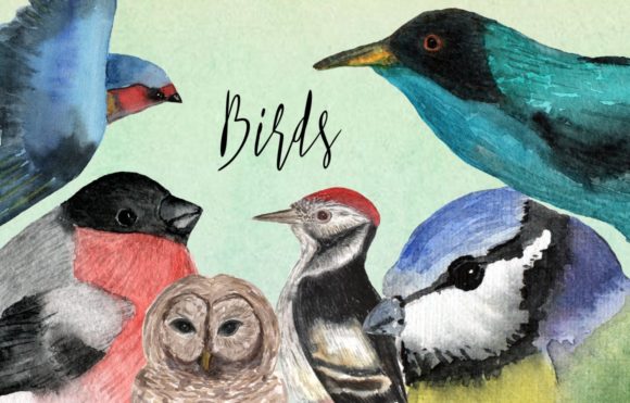 Watercolor Birds Clip Art and Illustrations