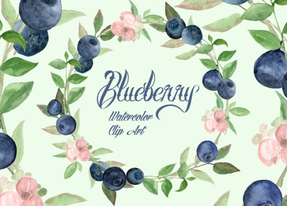 Watercolor Blueberries Clip Art and Illustrations