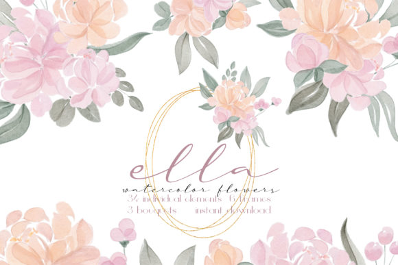 Watercolor Blush Flowers and Frames Illustrations