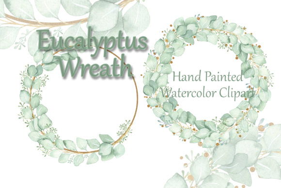 Watercolor Clipart Eucalyptus Wreath and Illustrations