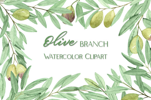 Watercolor Clipart Olive Branch and Illustrations