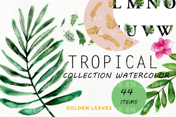 Watercolor Clipart with Tropical Leaves – Illustrations for Creative Design