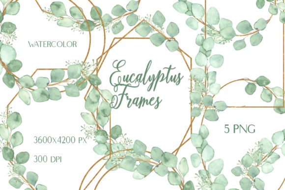 Watercolor Eucalyptus Golden Frames Illustrations