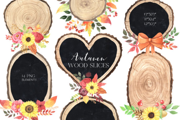 Watercolor Fall Wood Slices Clipart and Illustrations