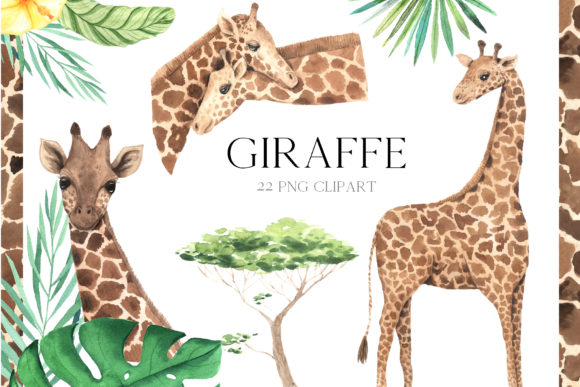 Watercolor Giraffe Clipart and Illustrations