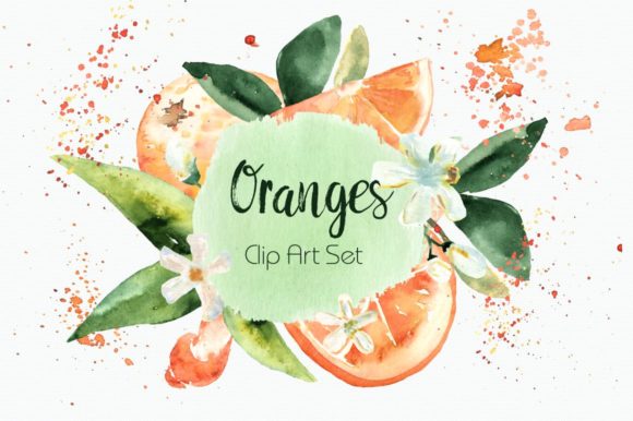 Watercolor Oranges Clipart Wreath Illustrations