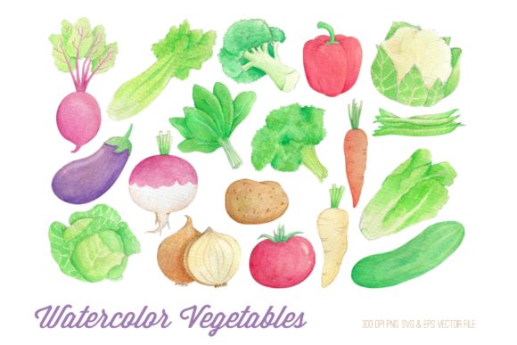 Watercolor Vegetables Clipart and Illustrations